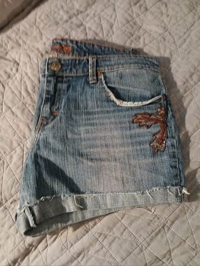 Light Blue Denim Jean Shorts with Brown Embroidery
